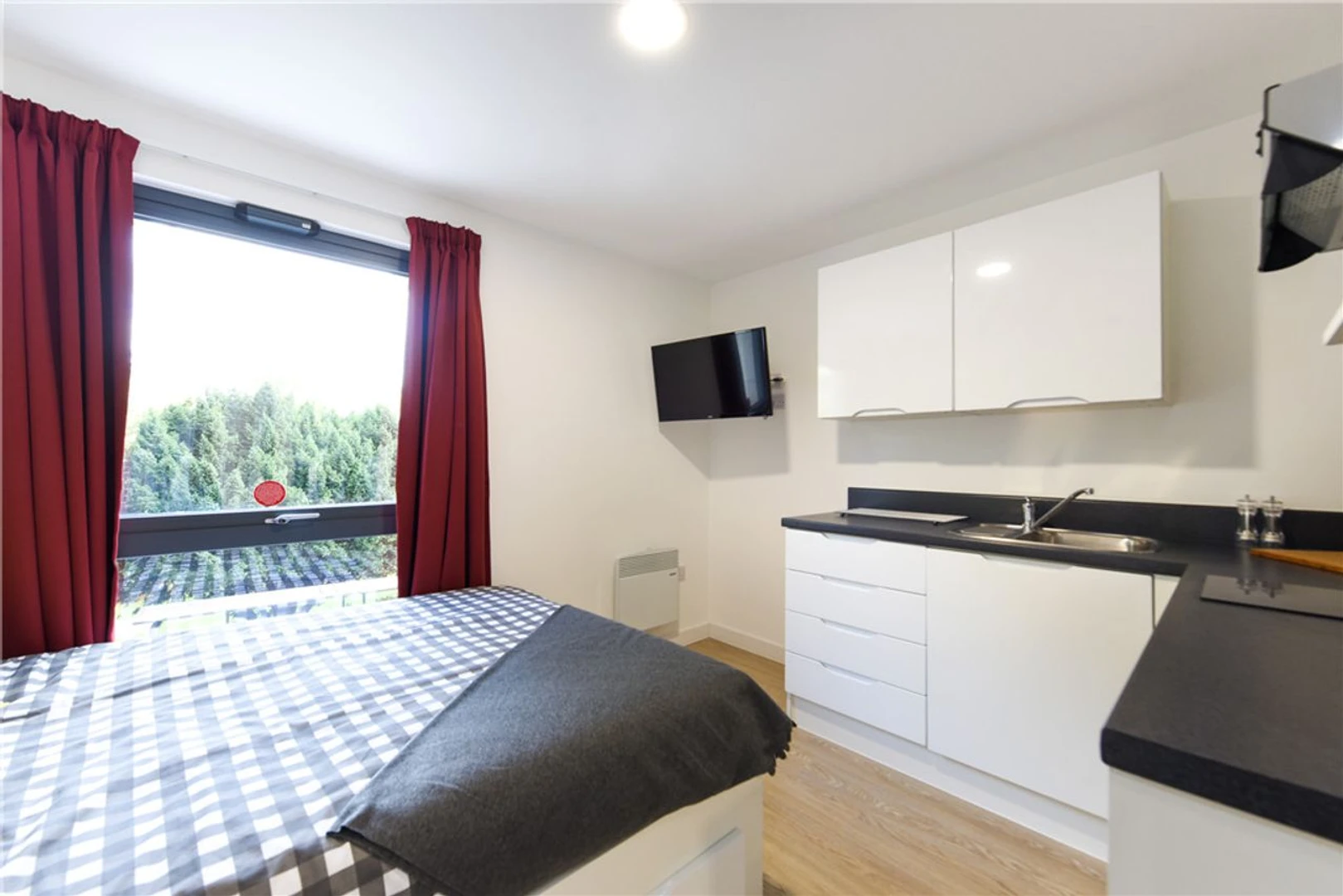 Habitación en alquiler con cama doble Southampton