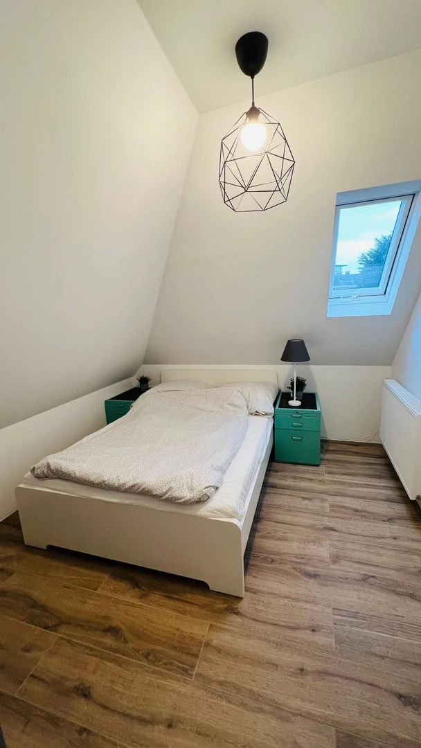 Pokój do wynajęcia z podwójnym łóżkiem w Münster