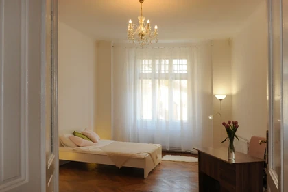 Room for rent in a shared flat in Brno
