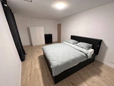 Chambre à louer dans un appartement en colocation à Charleroi