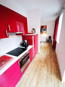 Very bright studio for rent in Magdeburg