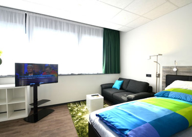 Very bright studio for rent in Offenbach Am Main