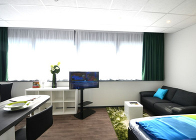 Very bright studio for rent in Offenbach Am Main