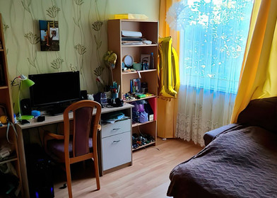 Entire fully furnished flat in Bremen