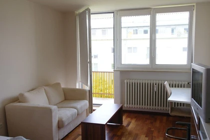 Entire fully furnished flat in Munich
