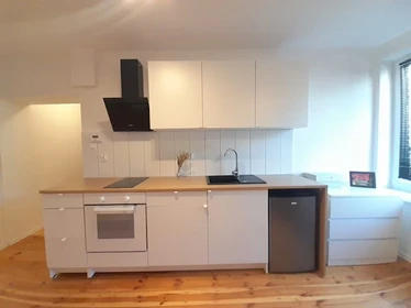 Entire fully furnished flat in Katowice
