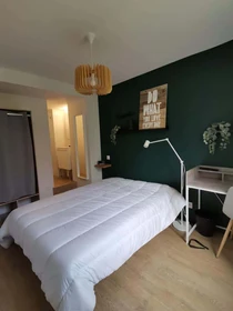 Habitación en alquiler con cama doble Troyes