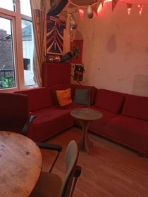 Chambre à louer dans un appartement en colocation à Delft