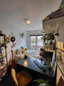 Chambre à louer dans un appartement en colocation à Delft
