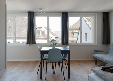 Very bright studio for rent in Basel