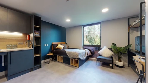 Zimmer mit Doppelbett zu vermieten Guildford