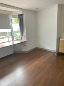 Alquiler de habitaciones por meses en Delft