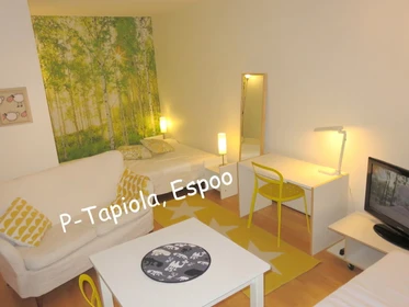 Luminoso e moderno appartamento a Espoo