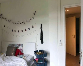 Habitación en alquiler con cama doble Delft