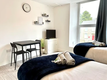 Komplette Wohnung voll möbliert in Swansea