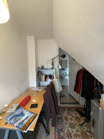Room for rent in a shared flat in Delft