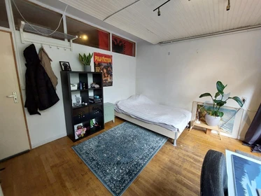 Alquiler de habitación en piso compartido en Delft