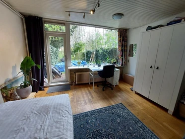 Location mensuelle de chambres à Delft
