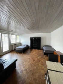Chambre à louer dans un appartement en colocation à Freiburg Im Breisgau