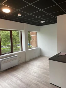 Studio meublé à Groningen
