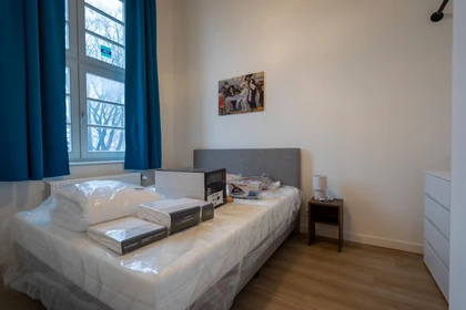 Accommodation with 3 bedrooms in Rotterdam