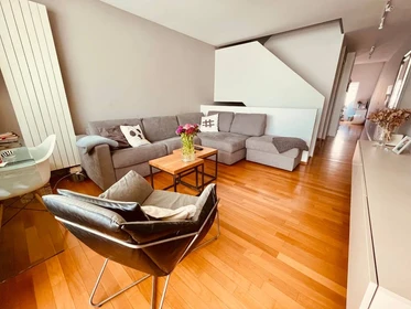 Accommodation with 3 bedrooms in Prague
