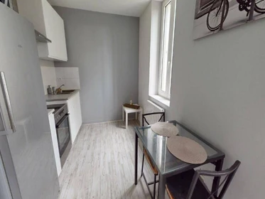 Habitación privada barata en Saint-étienne