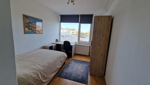 Chambre à louer dans un appartement en colocation à Leiden