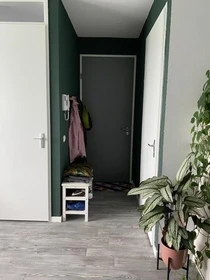 Groningen de aylık kiralık oda