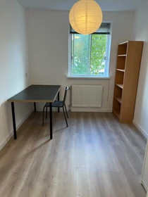 Cheap shared room in Rotterdam