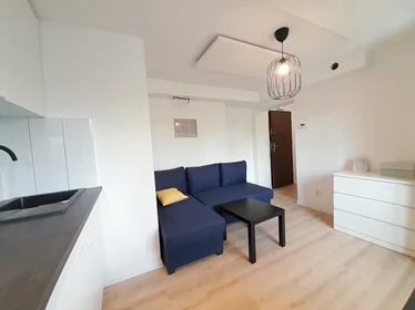 Entire fully furnished flat in Katowice