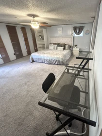 Entire fully furnished flat in Dallas