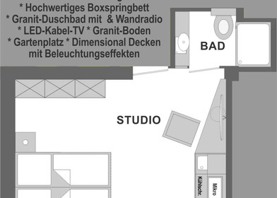 Elegantes Studio in Mainz