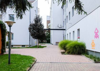 Alojamiento con 3 habitaciones en Brno
