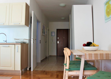 Apartamento entero totalmente amueblado  en Zadar