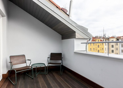 Modern and bright flat in Prague