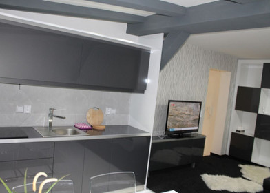 Accommodation with 3 bedrooms in Plzeň