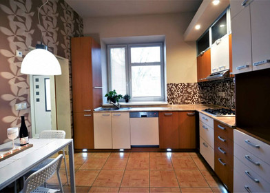 Habitación privada muy luminosa en Brno