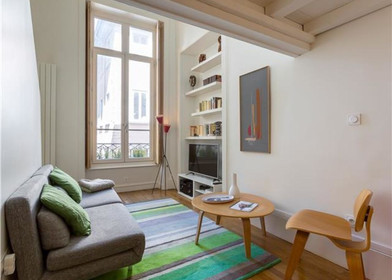 Alojamiento de 2 dormitorios en Lyon