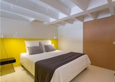 Alojamiento de 2 dormitorios en Lyon