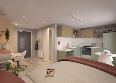 Habitación en alquiler con cama doble Belfast