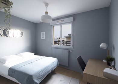 Alquiler de habitación en piso compartido en Lyon