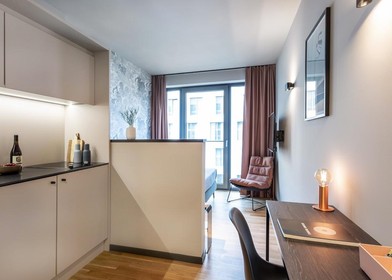 Modern and bright flat in Darmstadt