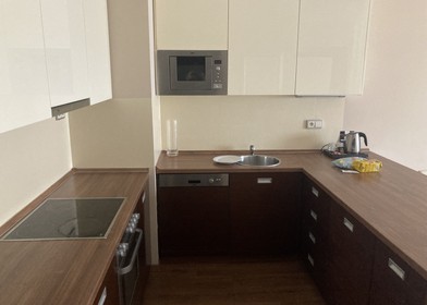 Entire fully furnished flat in Plzeň
