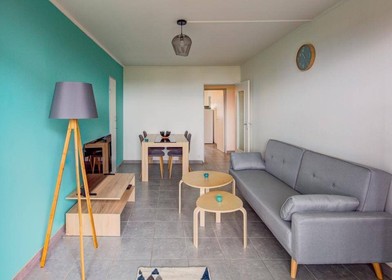Quarto para alugar num apartamento partilhado em Pau