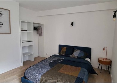 Room for rent in a shared flat in Limoges