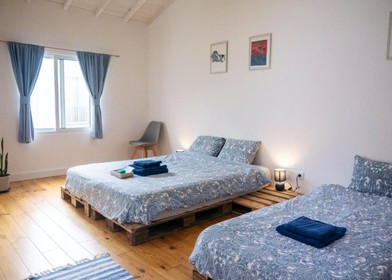 Quarto para alugar num apartamento partilhado em Ponta Delgada