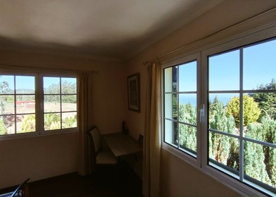Chambre en colocation dans un appartement de 3 chambres Madeira