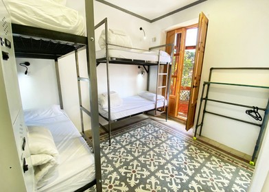 Mehrbettzimmer in 3-Zimmer-Wohnung Granada