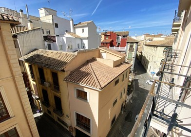 Habitación compartida con escritorio en Granada